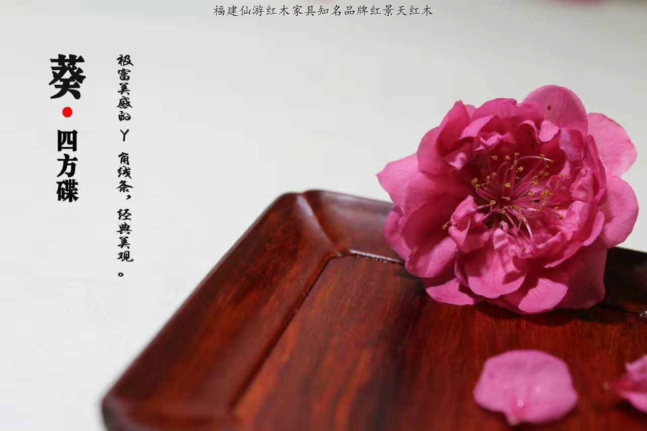 葵.四方碟
